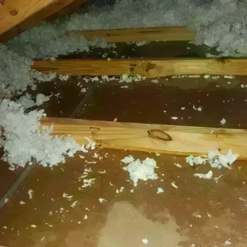 Attic Water Damage in Brownsville, TN